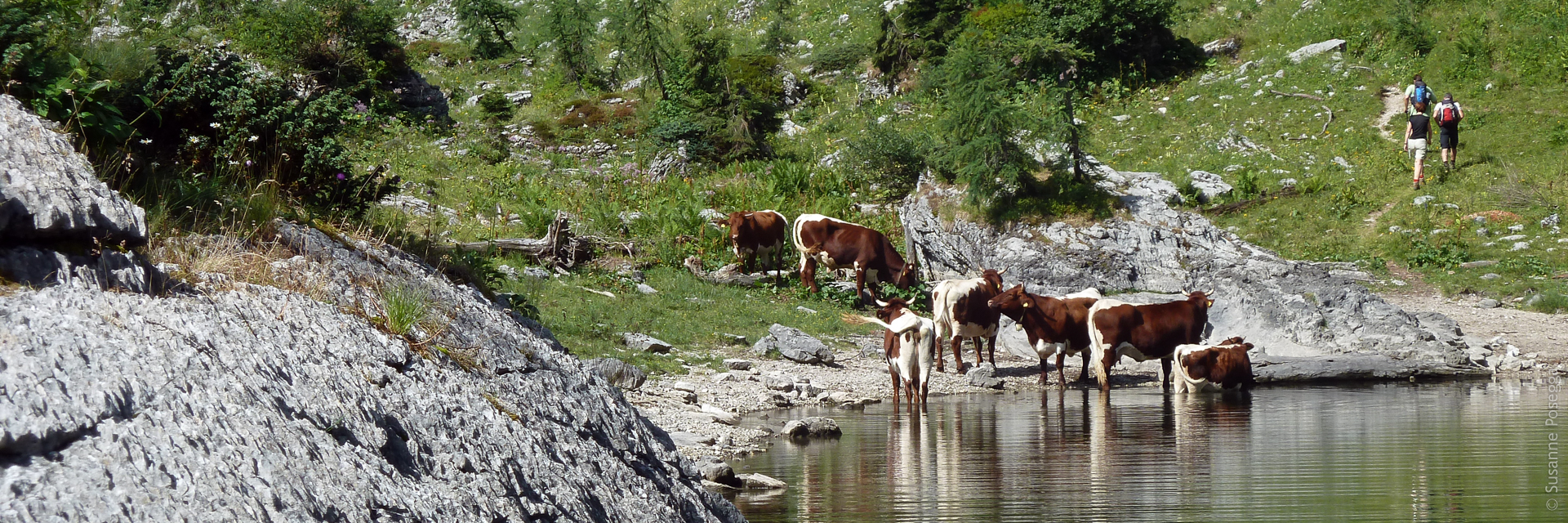 Ausseerweg_©Susanne_Posegga_P1160741